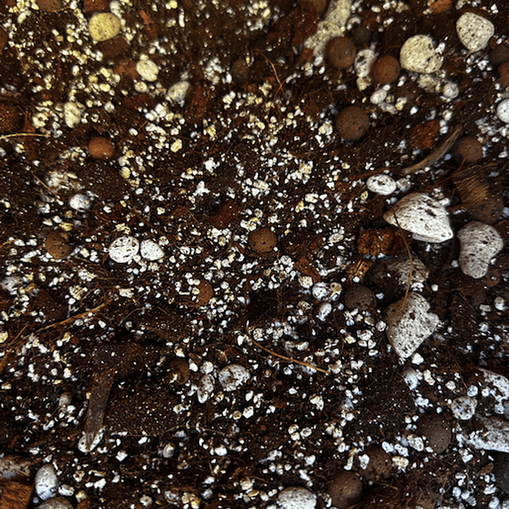 Sustrato Premium Mix para Alocasias 10 litros 2