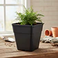Maceta Cuadrada 20x20x25 De 7 Litros Negro Rectangular - Miniatura 4