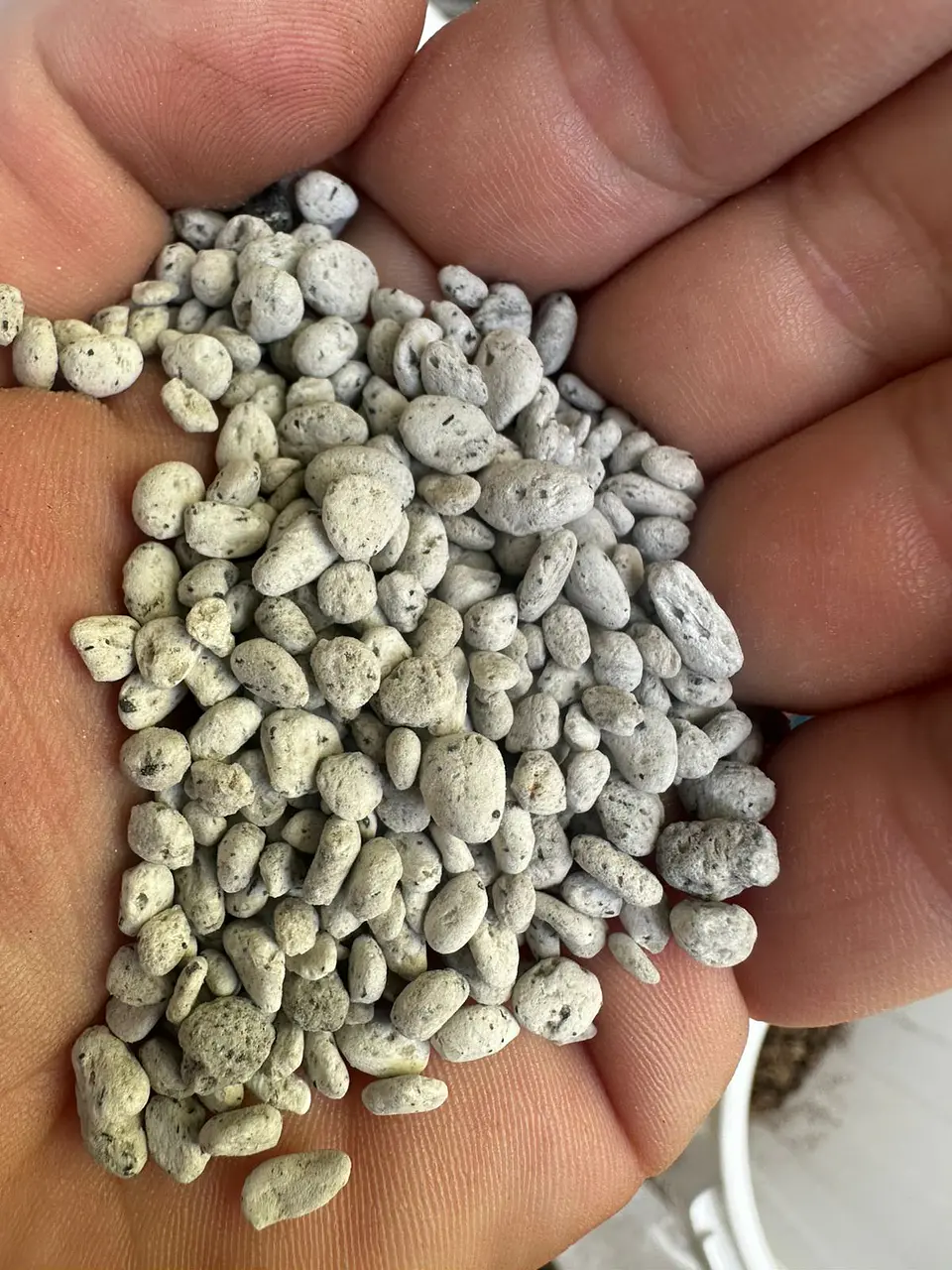 Pack Sustrato Para Bonsai Mix 9 Litros + Difusor Fertlizante 6