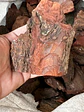 Corteza de Pino Gruesa 8-12 cm - Miniatura 2