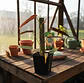 Kit Tutor de Plantas 45 Cm - Miniatura 1