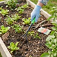 Rastrillo de Mano de 3 Puntas para Jardinería | Cultivador y Escarificador de Tierra - Miniatura 2