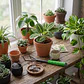 Rastrillo de Mano de 3 Puntas para Jardinería | Cultivador y Escarificador de Tierra - Miniatura 4