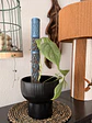 Kit Tutor de Plantas 45 Cm + 6 clip de sujecion + 4 Soporte tallos - Miniatura 6