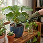 Rastrillo Metálico para Jardín con Mango Ergonómico 5 dientes rigidos - Miniatura 3