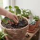 Pala larga de Jardín Metálica con Mango Ergonómico Verde - Miniatura 4