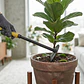 Azadón Cuadrado de Jardinería con Mango Ergonómico Antideslizante | Herramienta para Huertos y Plantas - Miniatura 4