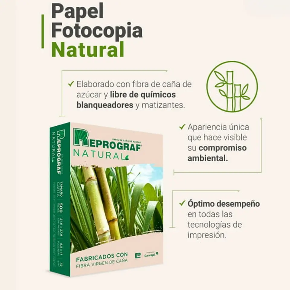  Resma Reprograf 75g Carta 21,6×27,9 1
