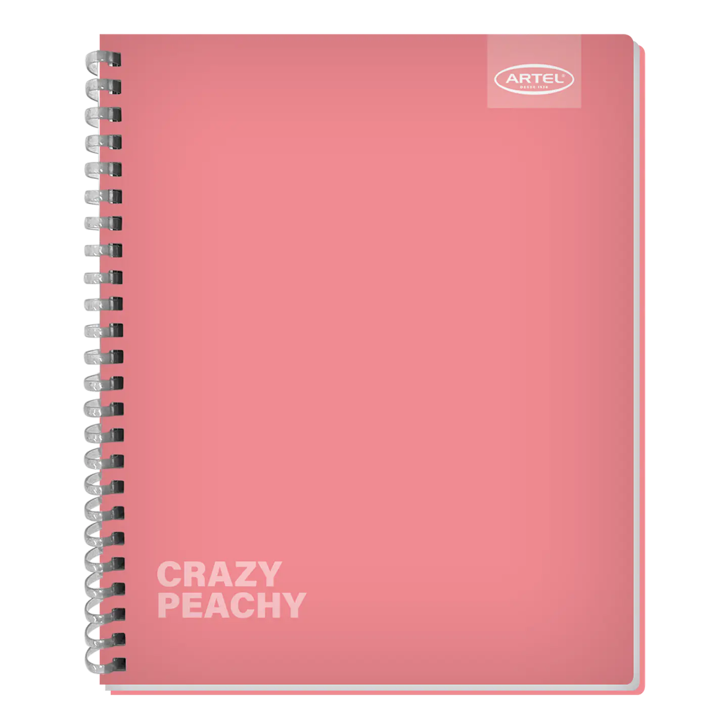 Cuaderno Universitario Artel 100 Hojas 7Mm Flúor Sof t 55 Gramos 2