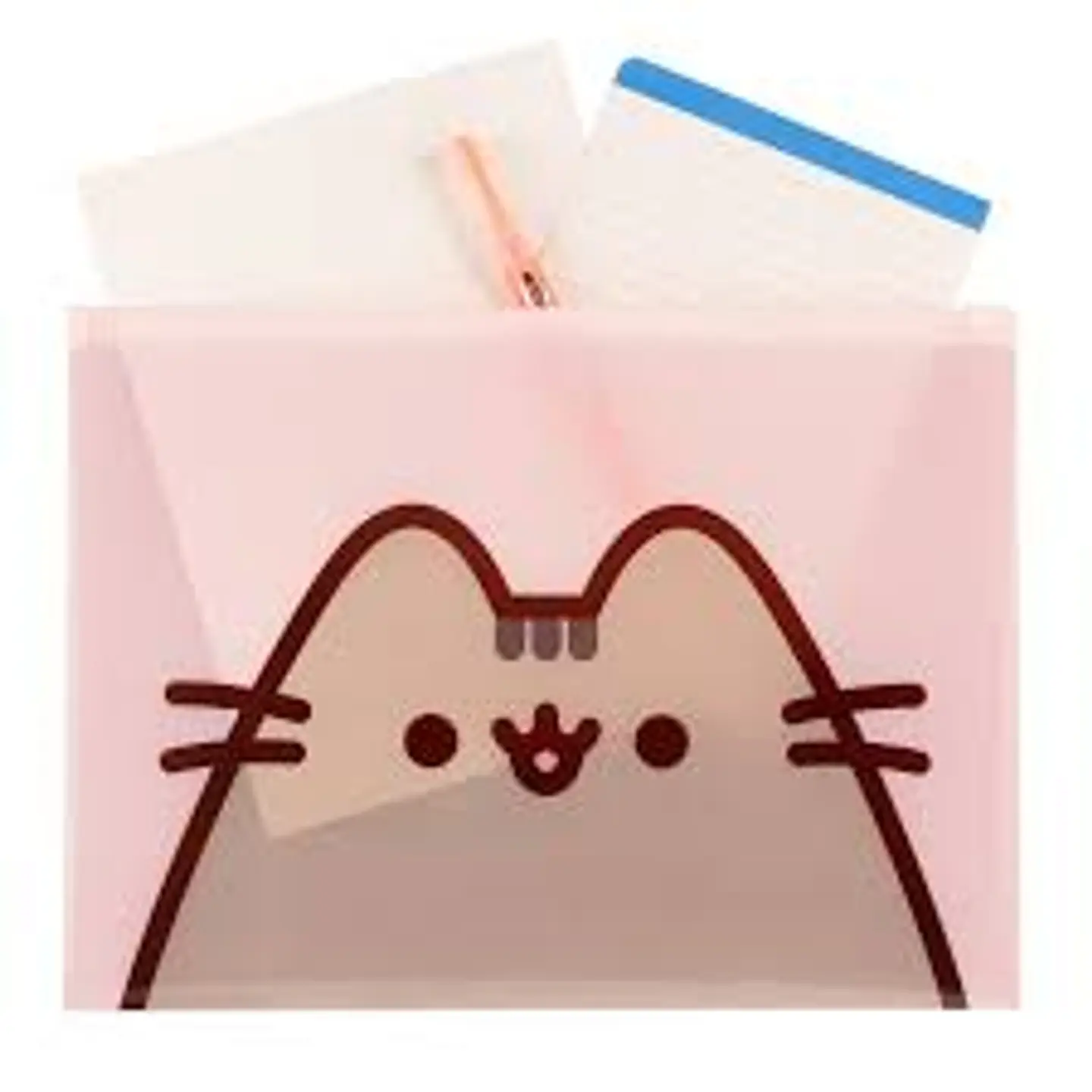 Carpeta Sobre Con Cierre Zip A4  Pusheen 2