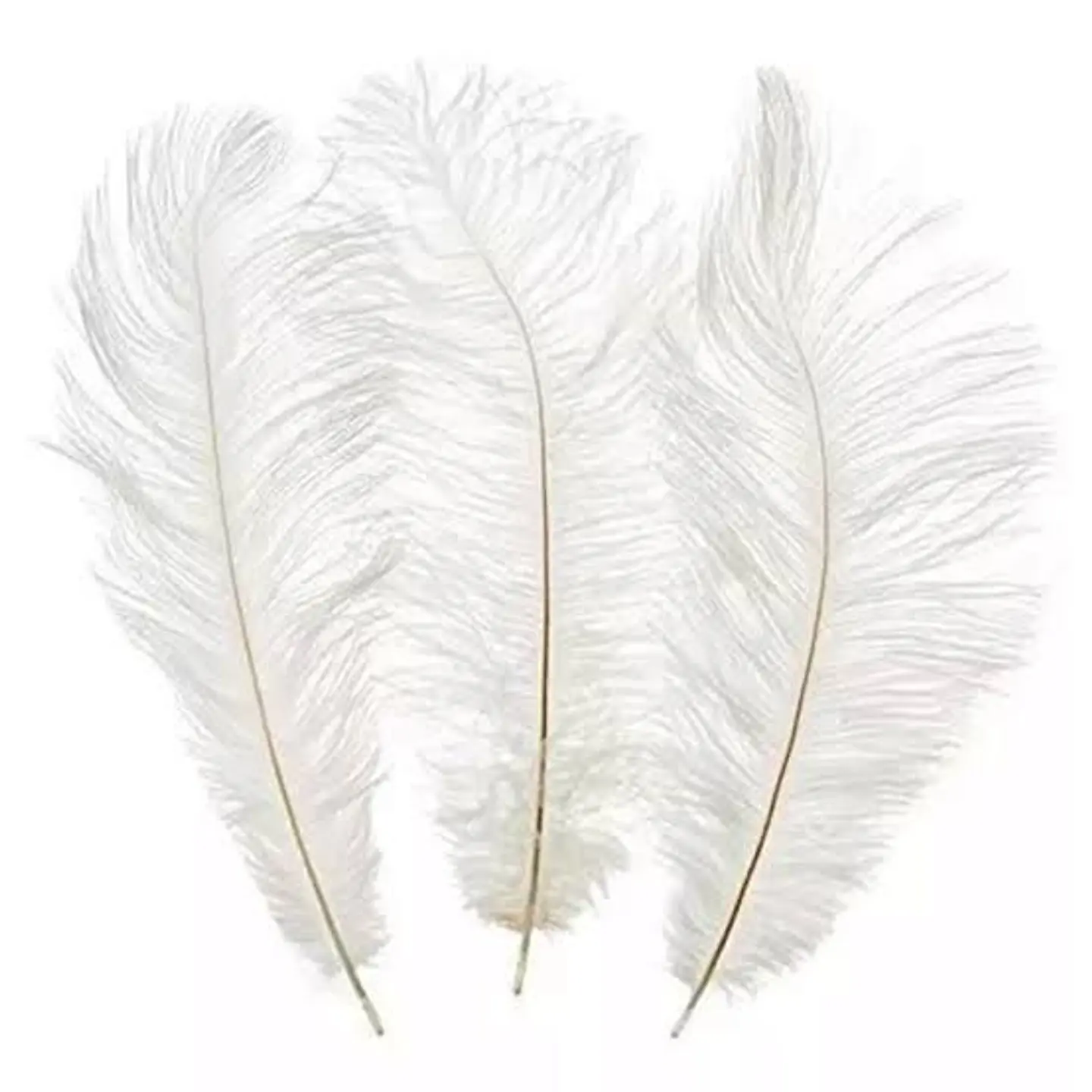 Plumas Blancas - Bolsa 10 gr.  1