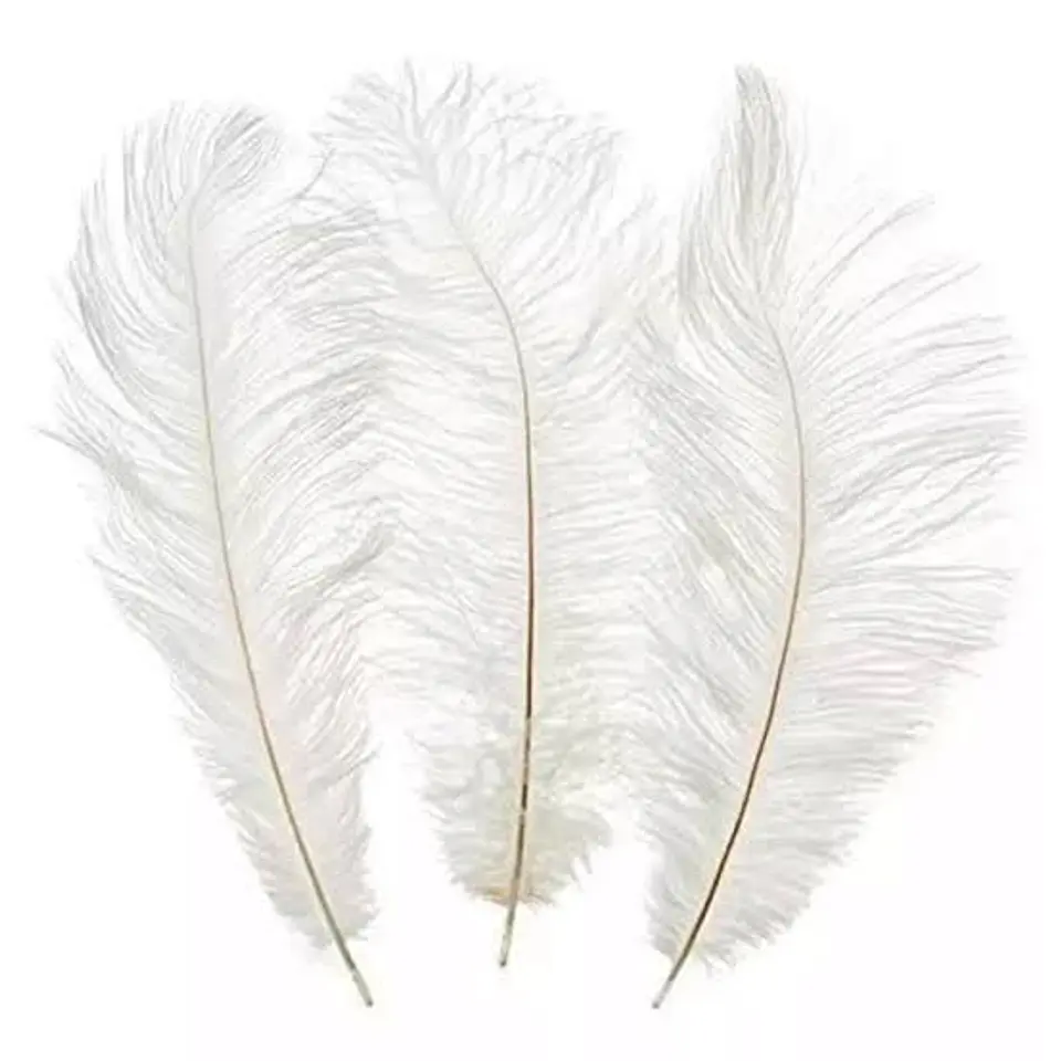 Plumas Blancas - Bolsa 10 gr.  1