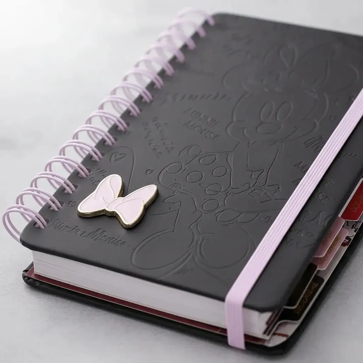 Agenda Minnie 2027 Diaria - Mooving! 3