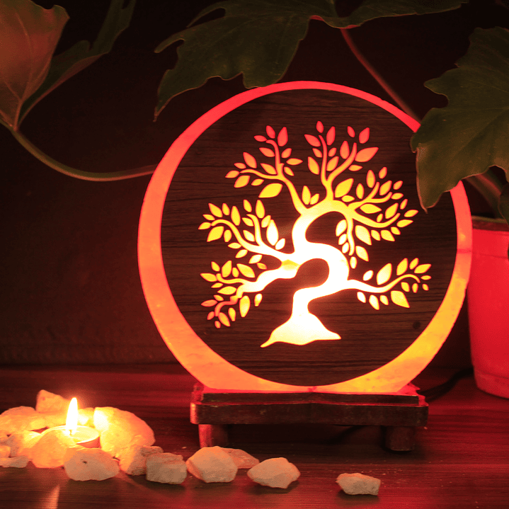 Lampara de Sal redonda 1