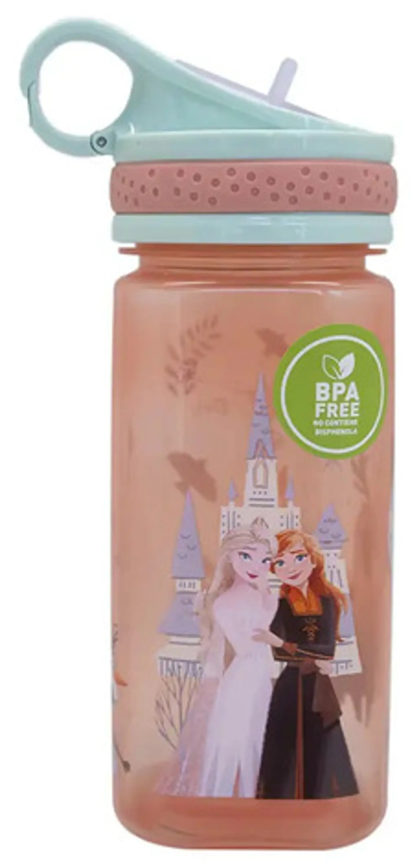 Botella Disney 500 Ml  14