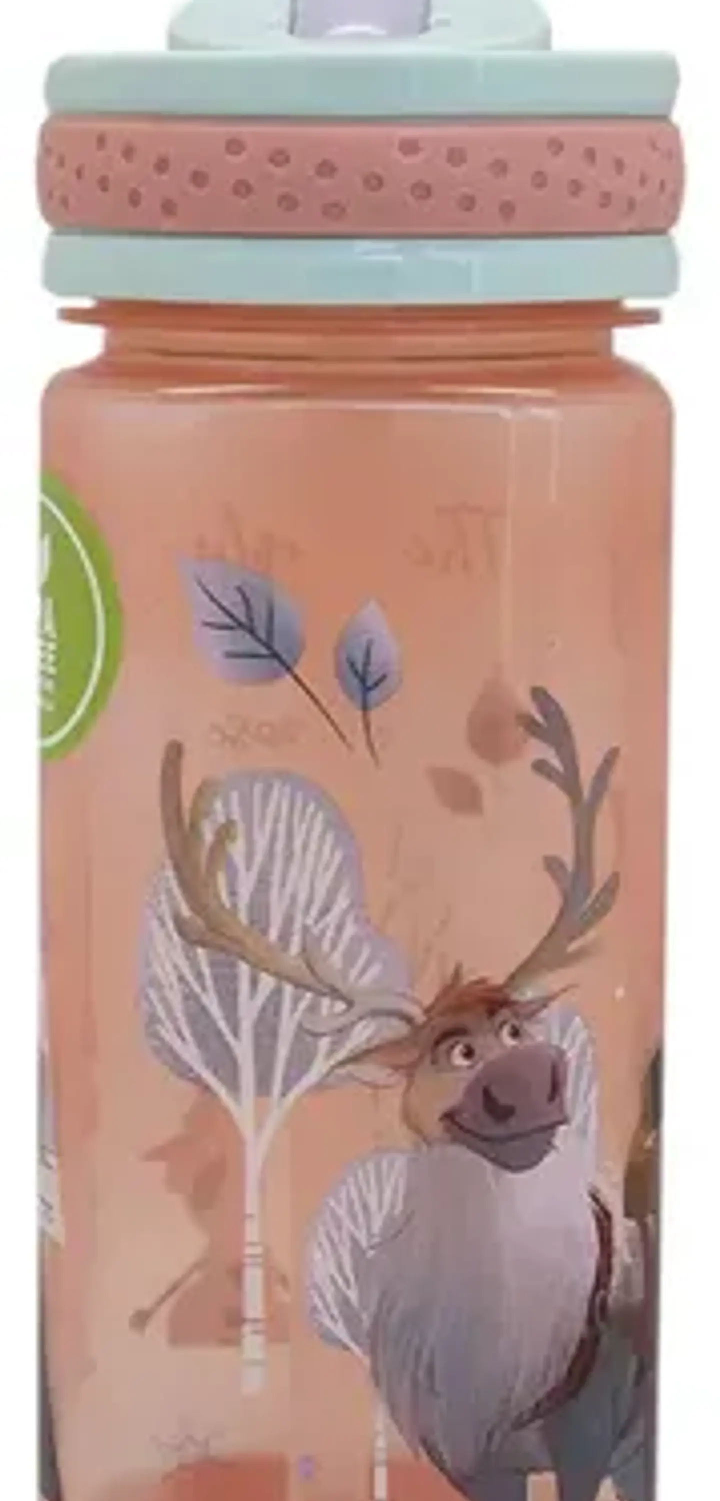 Botella Disney 500 Ml  16