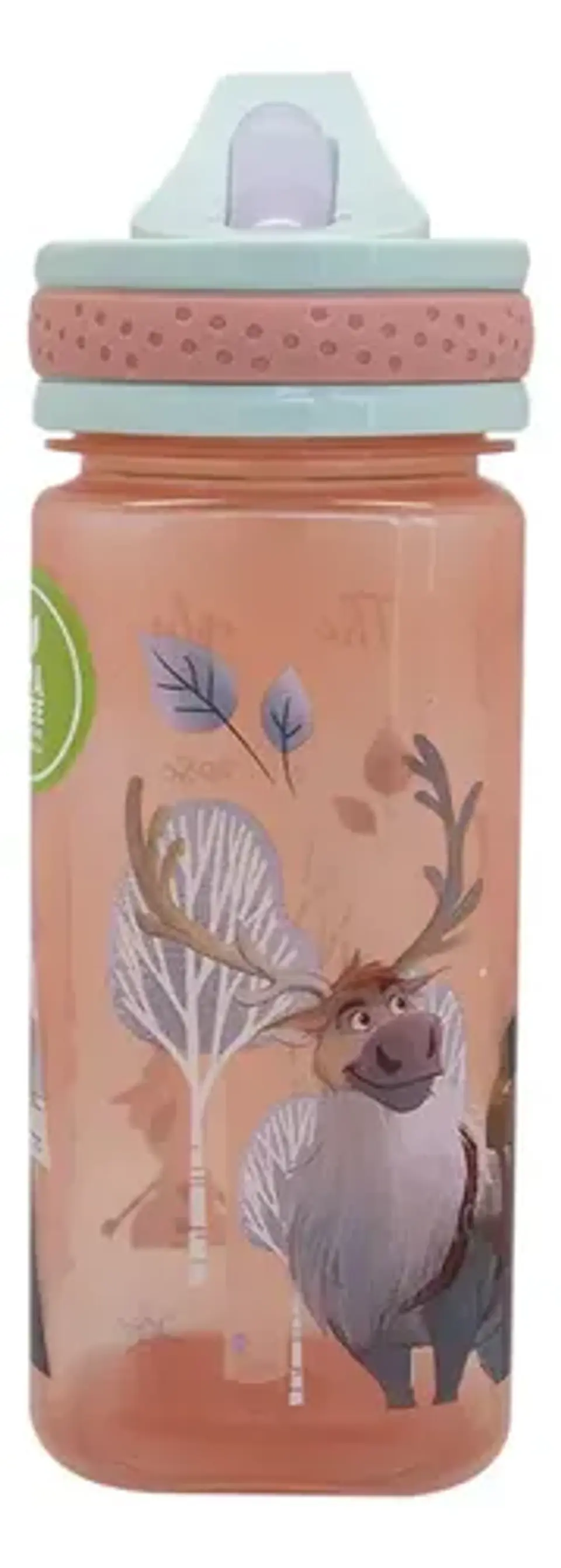 Botella Disney 500 Ml  16