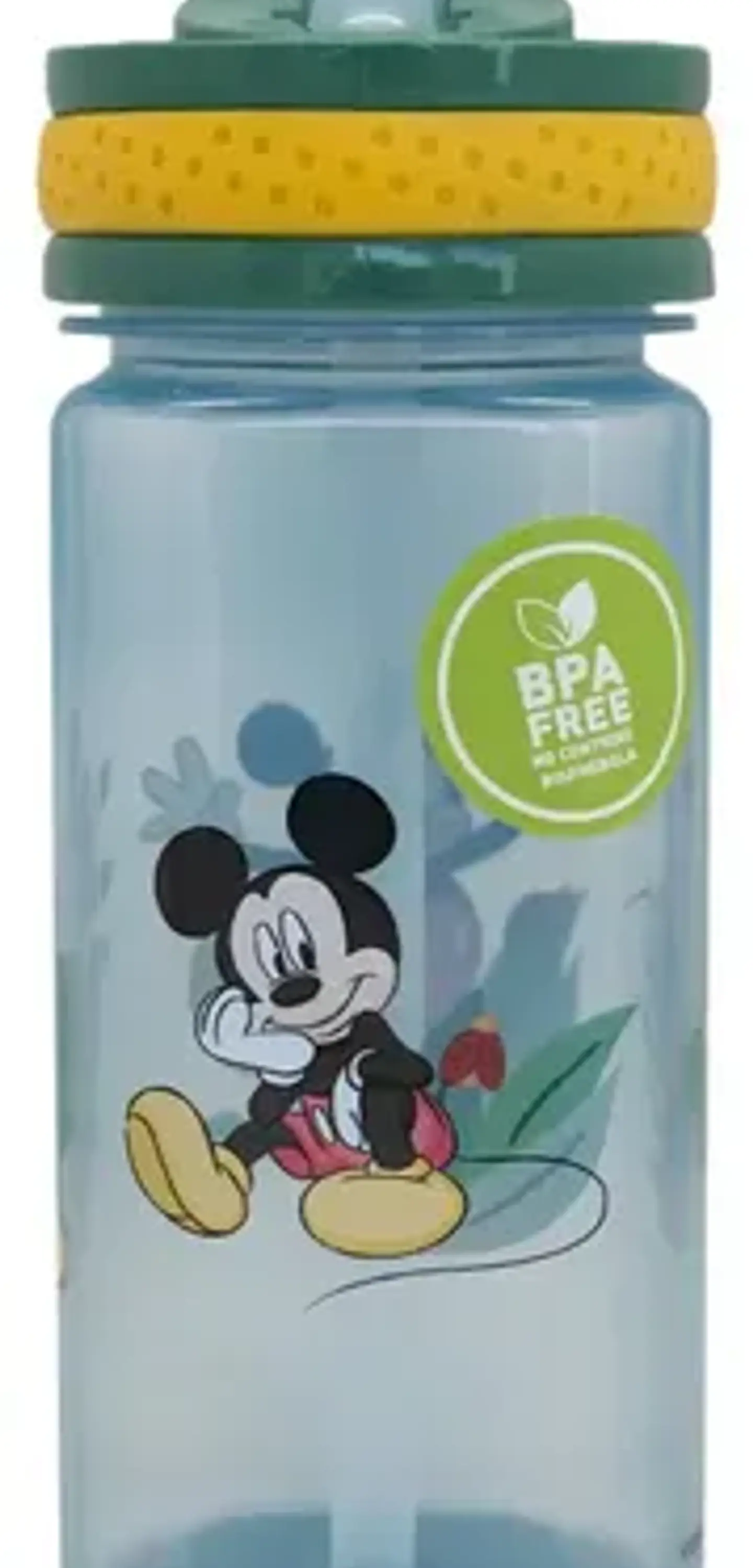 Botella Disney 500 Ml  20