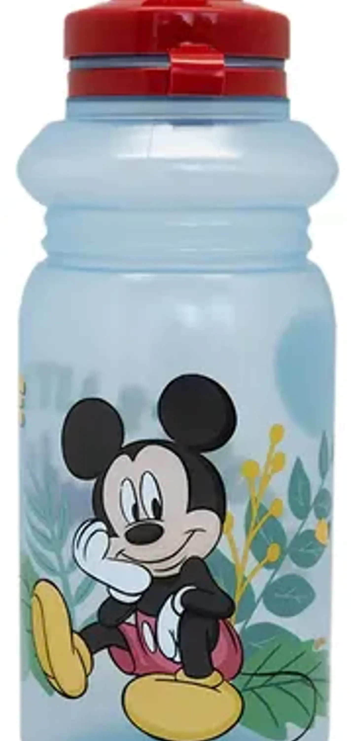 Botella Licencia Agua 450 Ml  2