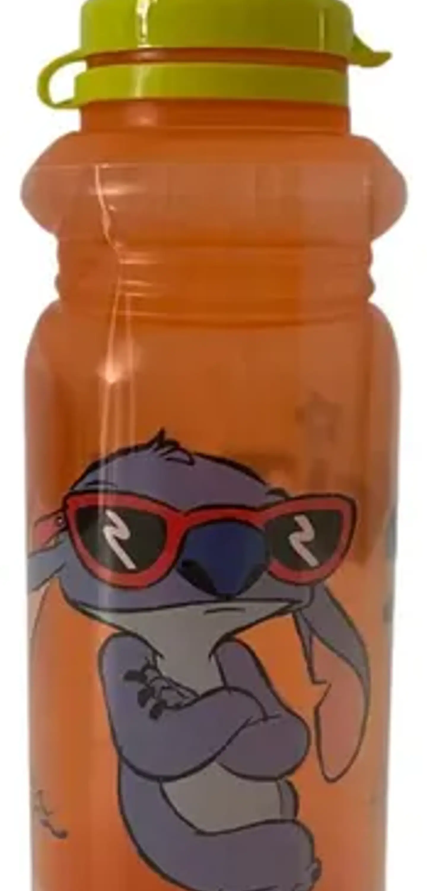 Botella Licencia Agua 450 Ml  31