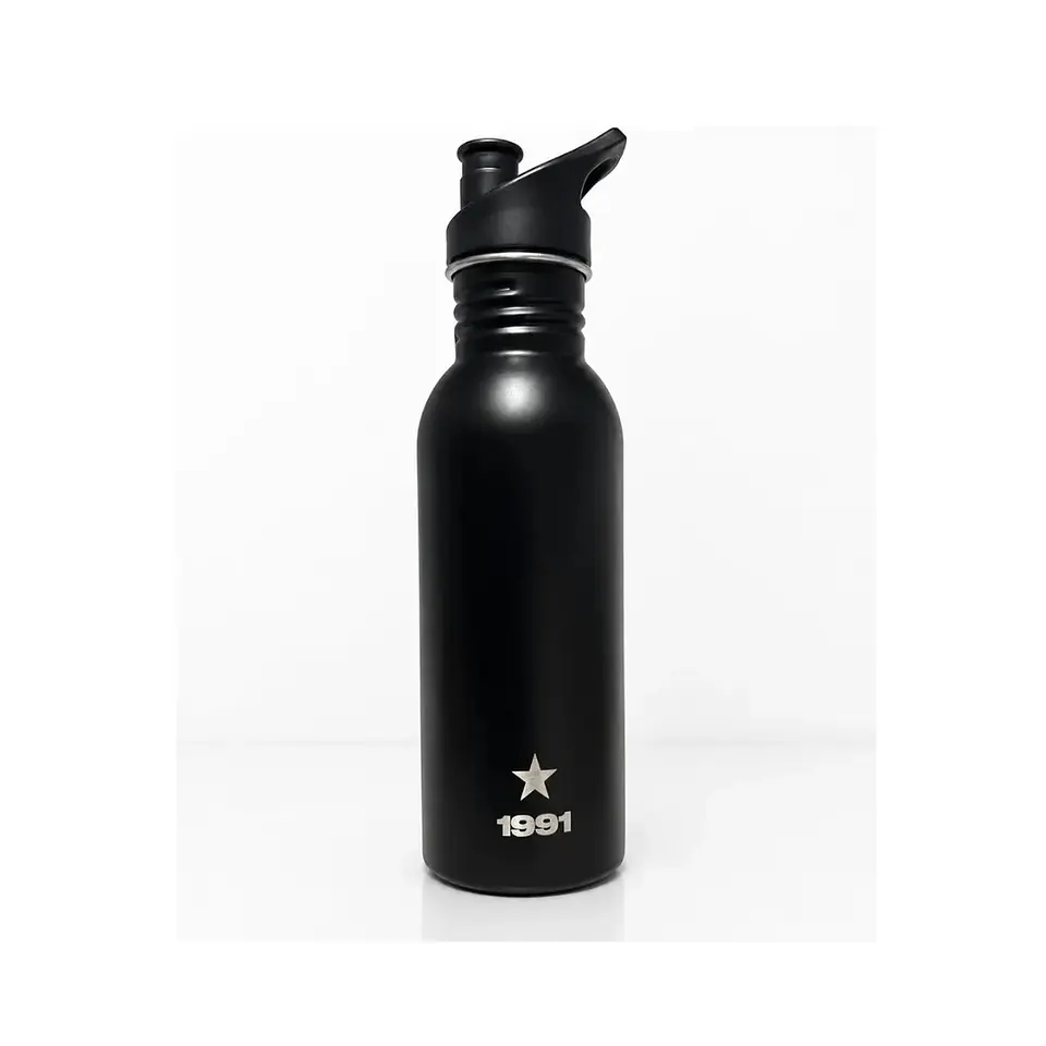 Botella Metálica Colo-colo 600 Ml 3
