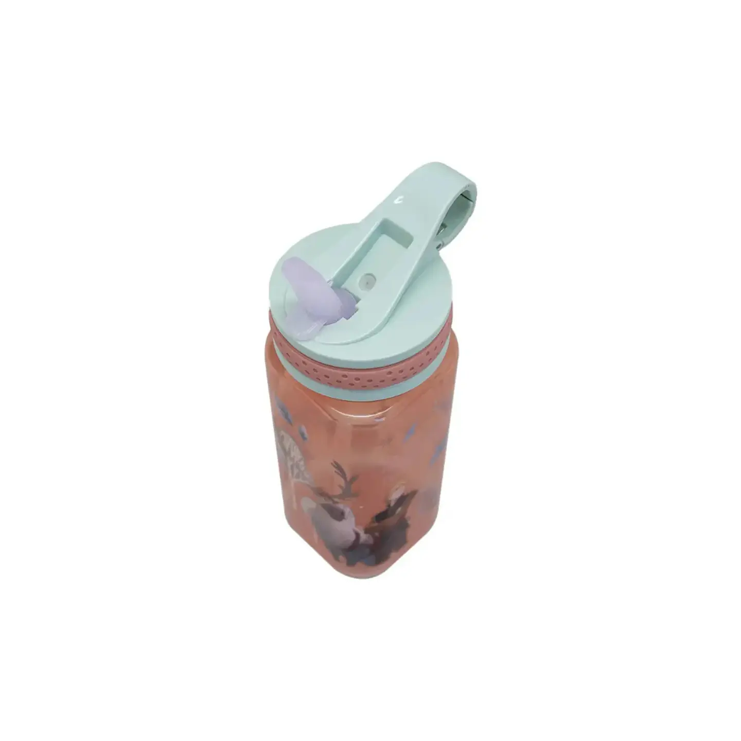 Botella Disney 500 Ml  5
