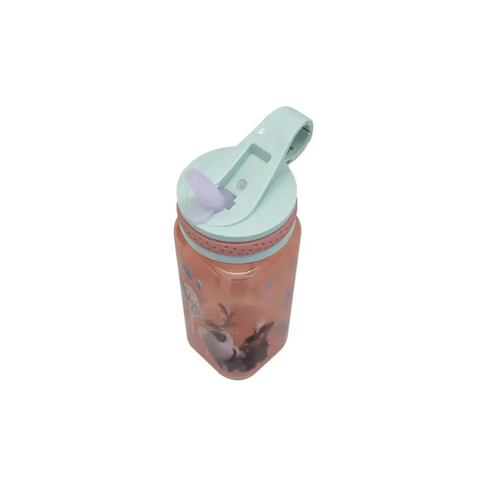 Botella Disney 500 Ml  5