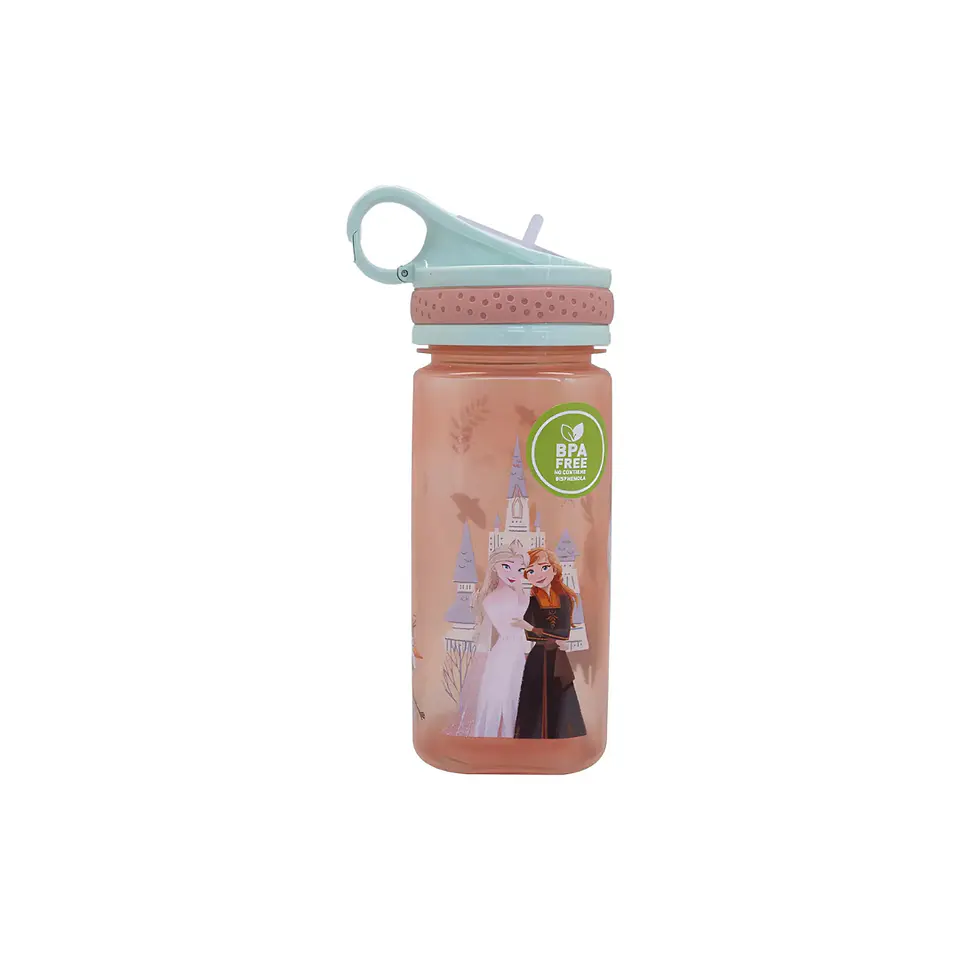 Botella Disney 500 Ml  6