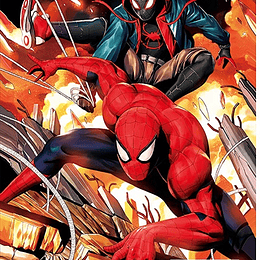 Poster 3D Pvc 30x40 cm Spiderman