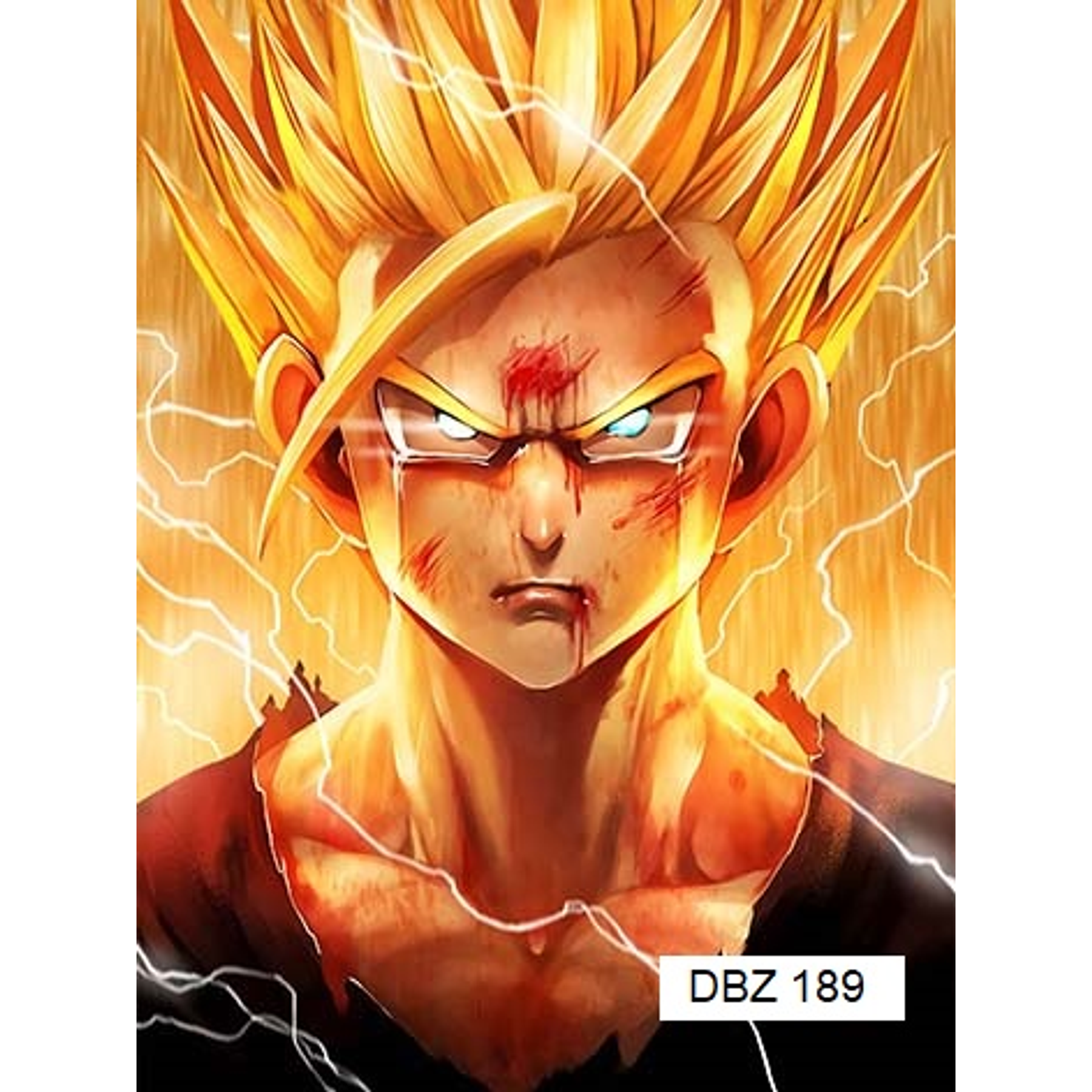 Poster 3D Pvc 30x40 cm Dragon Ball DBZ189