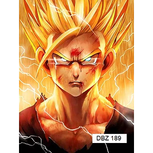 Poster 3D Pvc 30x40 cm Dragon Ball DBZ189