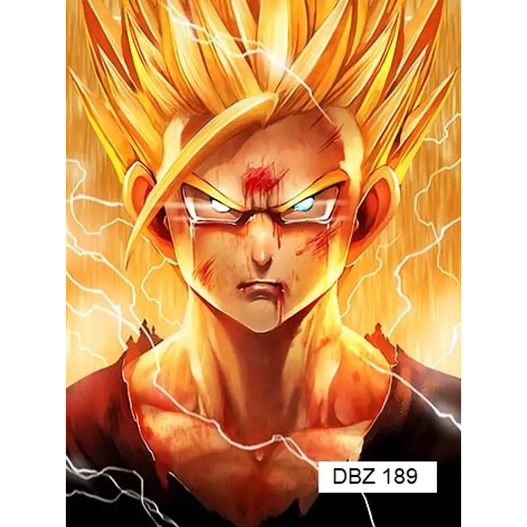 Poster 3D Pvc 30x40 cm Dragon Ball DBZ189 1
