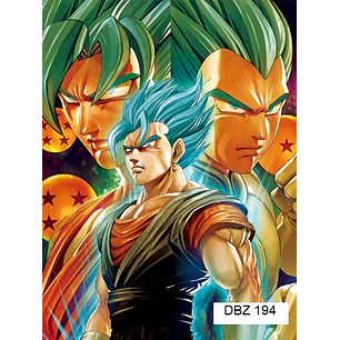 Poster 3D Pvc 30x40 cm Dragon Ball DBZ194