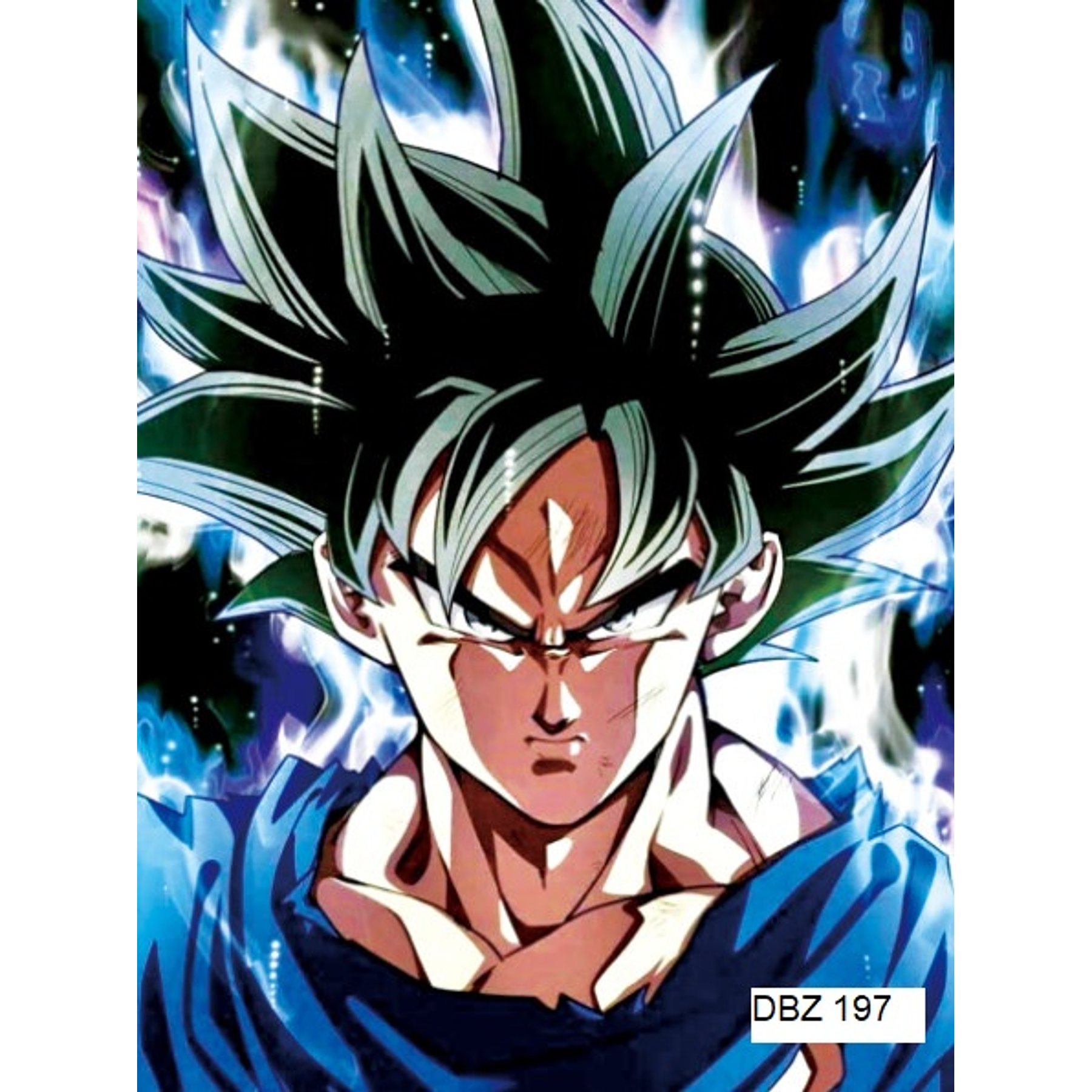 Poster 3D Pvc 30x40 cm Dragon Ball DBZ197