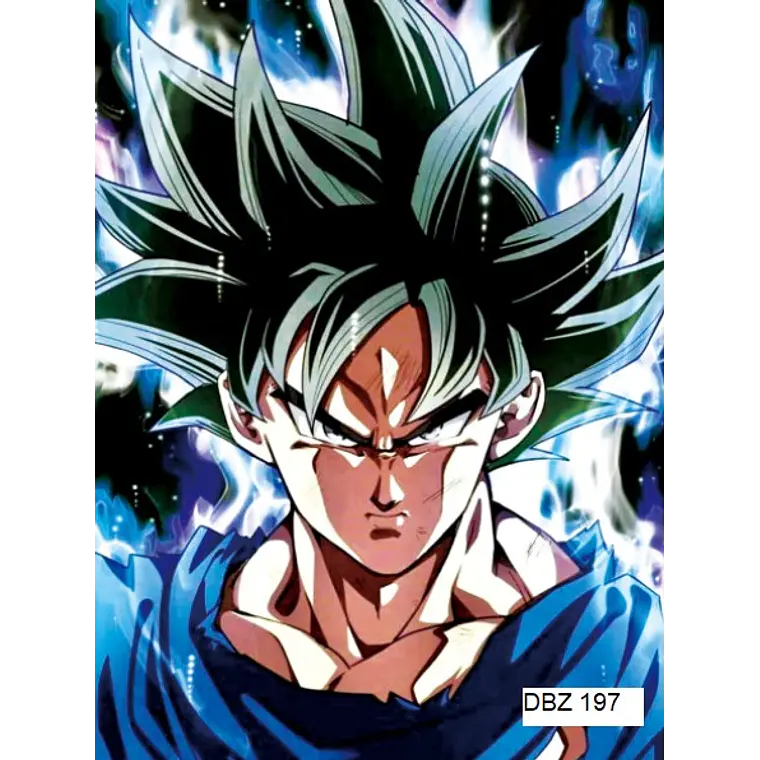 Poster 3D Pvc 30x40 cm Dragon Ball DBZ197 1