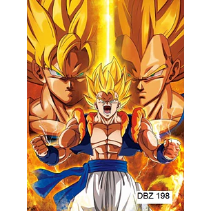 Poster 3D Pvc 30x40 cm Dragon Ball DBZ198