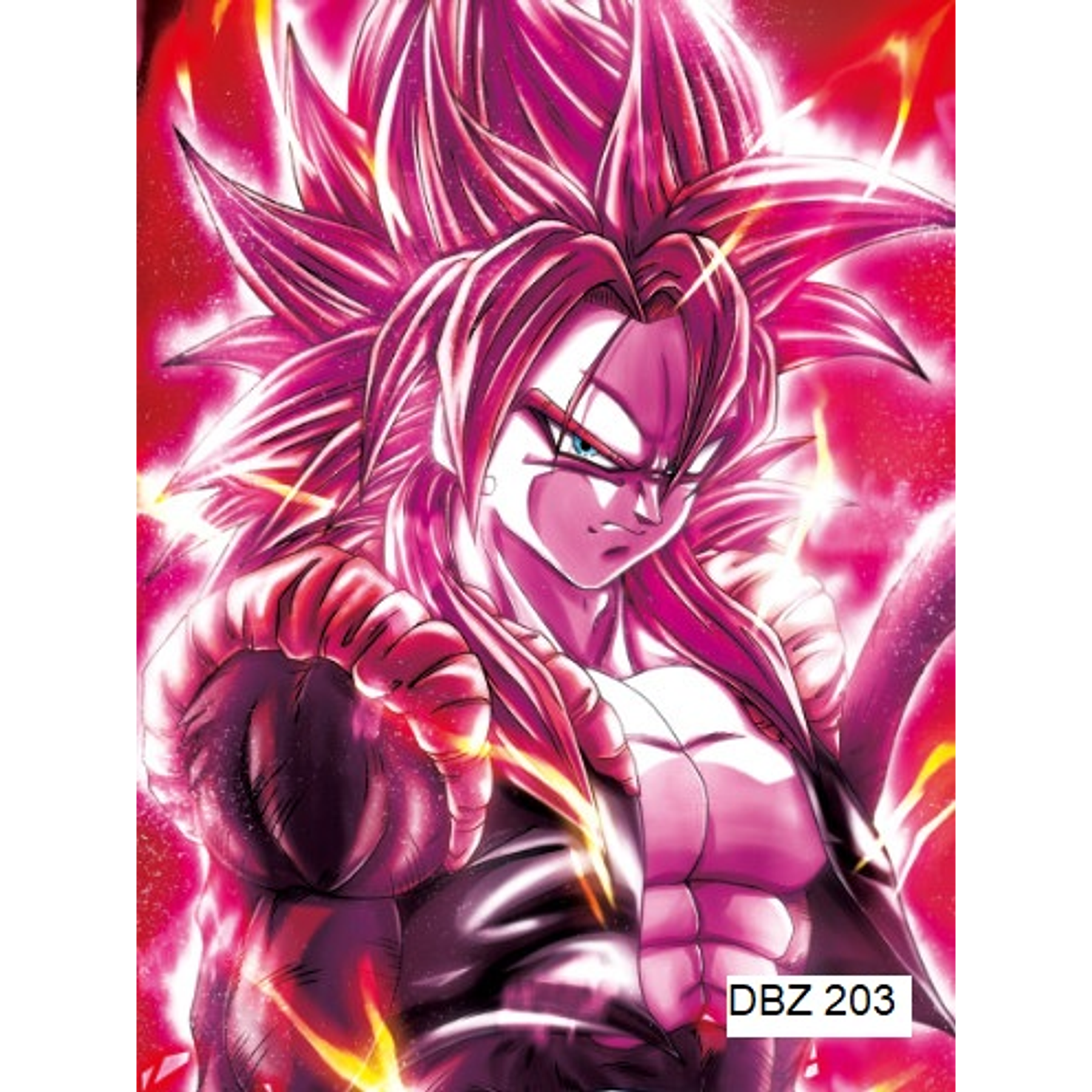 Poster 3D Pvc 30x40 cm Dragon Ball DBZ203