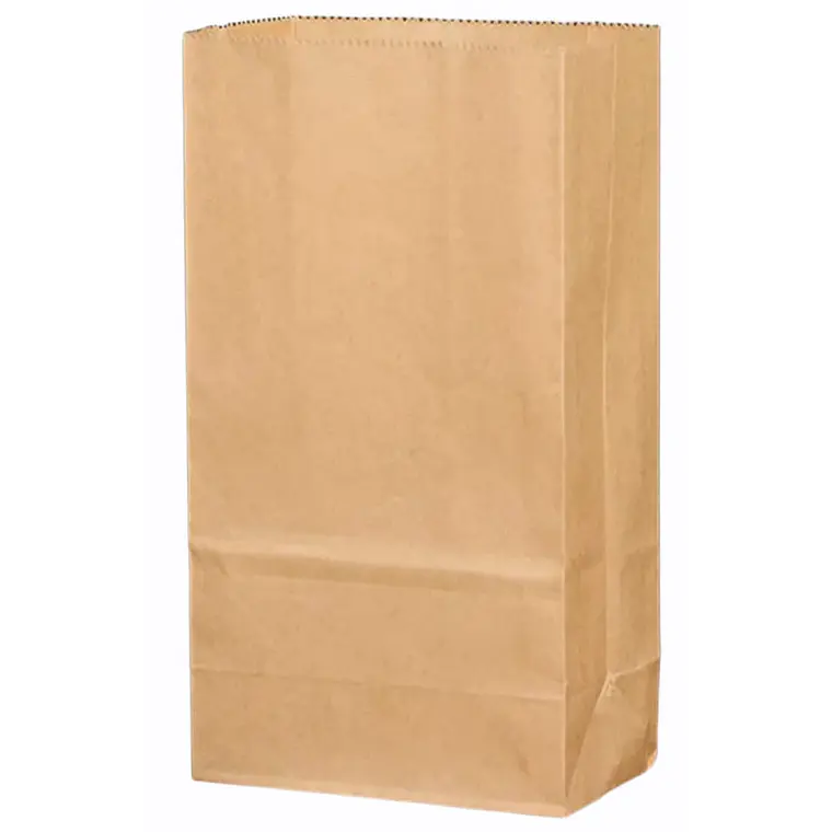 50 Bolsas 9x6x18 cm Papel Kraft Con Base 1