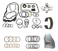 Kit Caja Automatica Nissan Sentra / 3vel./ Rl3f01a / Rn3f01a - Miniatura 1