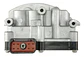 Block De Selenoides Chys. Caravan/stratus/neon 4 Vel. (a604) - Miniatura 1