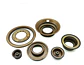 Kit Pistones Caja Automatica Peugeot Al4 Dp0 155670 - Miniatura 1