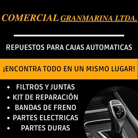 Filtro Caja Automatica Volkswagen Transporter 6vel 09k 