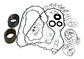 Kit Caja Automatica Acura Honda Integra 94-00 4vel. / Mp7a - Miniatura 1