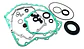 Empaquetaduras Caja Audi A4 A5 A6 A7 A8 Cvt 01j - Miniatura 1