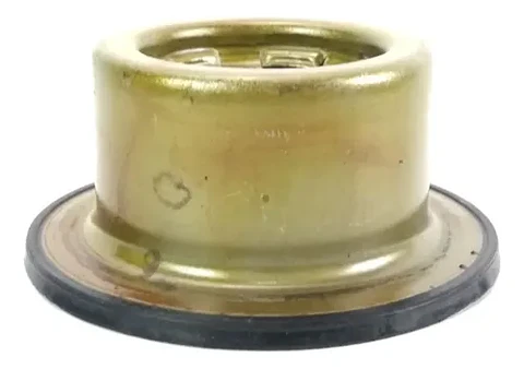 Piston Caja Automatica Volkswagen Golf Beetle 4vel 01m