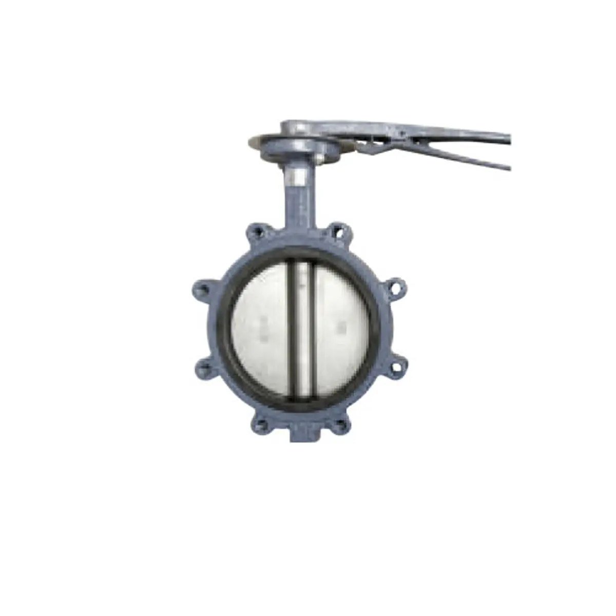 Válvula De Mariposa FEBI BILSTEIN 100792 - Repuesto Compatible Con VW Golf, Audi A3, Skoda Octavia Y Más