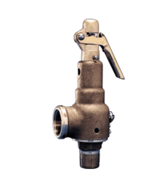 Válvula de seguridad para vapor