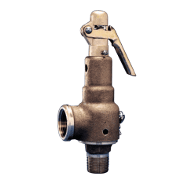 Válvula de seguridad para vapor