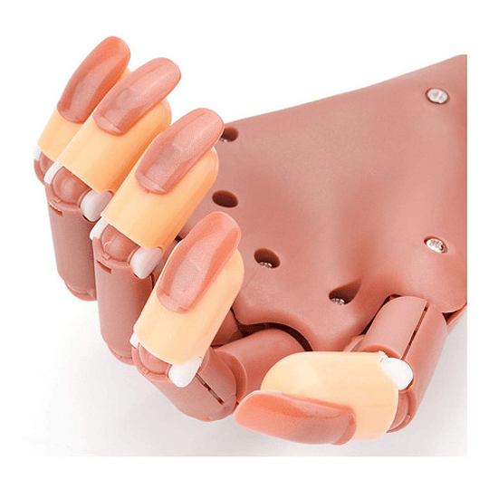 Mano Articulada De Practicas Para Manicure