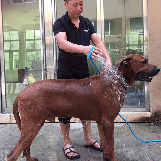 Guante Ducha Masajeador 2 En 1 Para Mascotas Con Manguera Color Azul